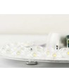 28W LED indsats med linser, flicker free - Ø23 cm, erstat G24, cirkelrør og kompaktrør