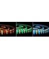 12W/m RGB+WW LED strip - 5m, IP65, 60 LED pr. meter, 12V