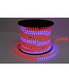 5m 12W/m RGBIC LED strip - 230V, IP65, 60 LED pr. meter