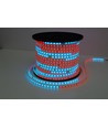 5m 12W/m RGBIC LED strip - 230V, IP65, 60 LED pr. meter