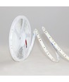5m 12W/m LED strip RA97 - 24V DC, IP20, 120 LED pr. meter