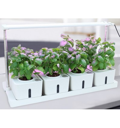 LEDlife hydroponisk plantebakke - Hvid, inkl. vækstlys, 20 pladser, 4x2L vandtank