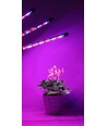 LEDlife vækstlys med stativ - Sort, 4 lamper, justerbar højde, fleksible arme