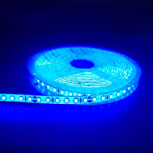5m 10W/m Blå LED strip - 24V DC, IP65, 120 LED pr. meter