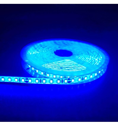 5m 10W/m Blå LED strip - 24V DC, IP65, 120 LED pr. meter