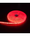 5m 10W/m Rød LED strip - 24V DC, IP65, 120 LED pr. meter