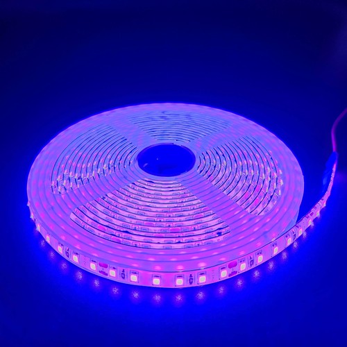 5m 10W/m Lilla LED strip - 24V DC, IP65, 120 LED pr. meter