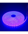 5m 10W/m Lilla LED strip - 24V DC, IP65, 120 LED pr. meter