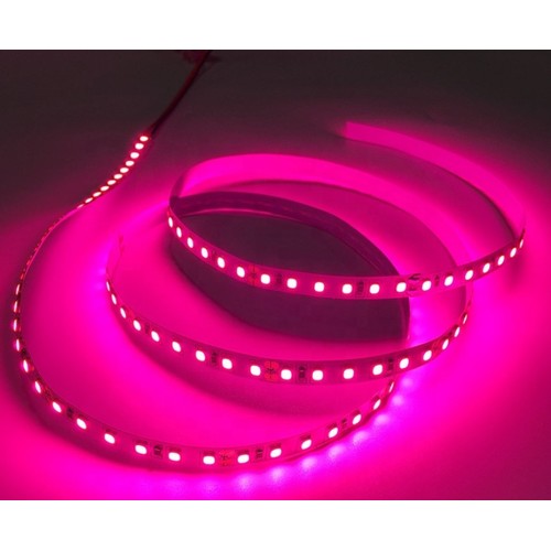 Nær infrarød 730 nm 4,8W/m 12V LED strip - 5m, IP20, 60 LED pr. meter