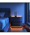 Outlet: Blomstervase med LED lys Inde/ude - Sort, dæmpbar, IP54 udendørs