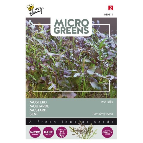 Microgreens - Sennepsfrø, Red Frills