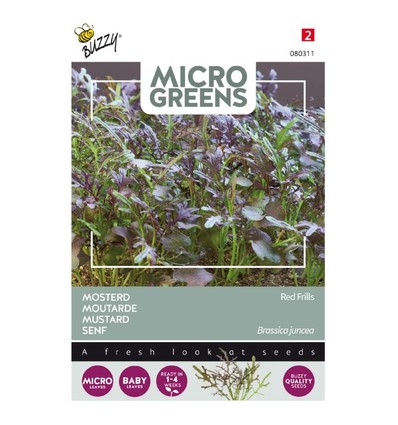 Microgreens - Sennepsfrø, Red Frills