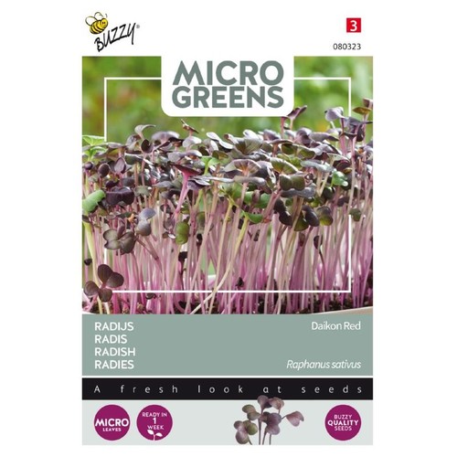 Microgreens - Radise rød Daikon