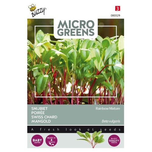 Microgreens - Bladbede Mangold Swiss Chard Rainbow Blanding