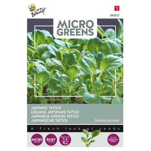 Microgreens - Japansk grøn Tatsoi