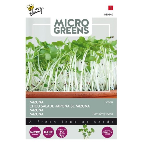 Microgreens - Grøn Mizuna