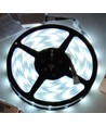 5m 12W/m RGB+CW LED strip - 24V DC, IP65, 60 LED pr. meter