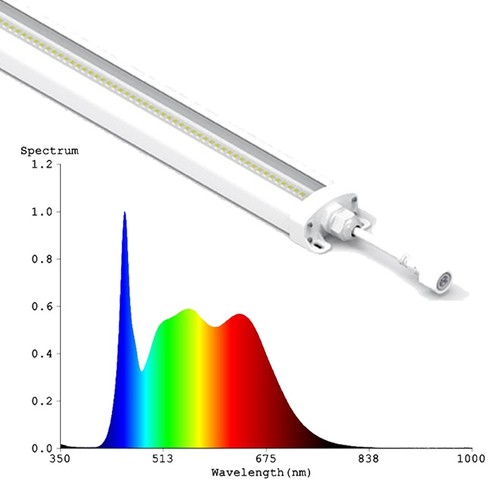 LEDlife 50W Philips LED vækstarmatur - 112,5 cm, RA95, fuldt spektrum, IK05, IP65