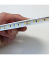 10m 12W/m Philips LumiLED RA92 - IP20, RA92, 24V, 120 LED pr. meter