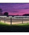 25m LEDlife ridebane strip på tromle - 230V, IP67, 180 LED/m, 11W/m, 1100 lm/m