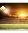 500W LED Sports projektør, 135lm/W - Samsung LED chip, Meanwell driver, IP65, dæmpbar, 5000K