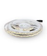 5m 17W/m LED strip, 204 LED pr. meter - 12V, IP20, 6500K, 120 grader, SMD2835