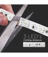 5m 8W/m RGB+3000K LED strip - 12V, IP20, 60 LED pr. meter