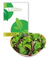 Pluksalat frø - Baby Leaf blanding, 0,2g