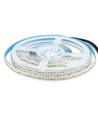 240 LED Stribe Lys 20W/m - 6500K, Høj Lumen, IP20, 5m/rulle