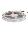 5m Grøn 3,2W/m stænktæt LED strip - Grønt lys, IP65