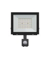 Noctis Lux 4 projektør 50W - neutral hvid, 230V, IP44, 176x221x53mm, sort, PIR sensor
