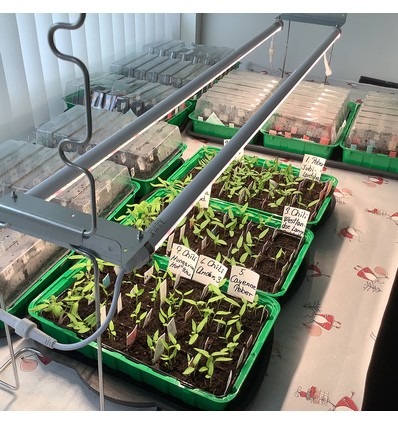 LEDlife Pro-Grow 2.0 vækst sæt - 2 x 120 cm, 36W LED, fuldt spektrum