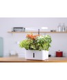 LEDlife hydroponisk køkkenhave - Hvid, inkl. vækstlys, 10 pladser, timer, 2,8L vandtank