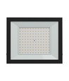 100W projektør Noctis Lux 4 - Sort, IP65, 230V, Spectrum