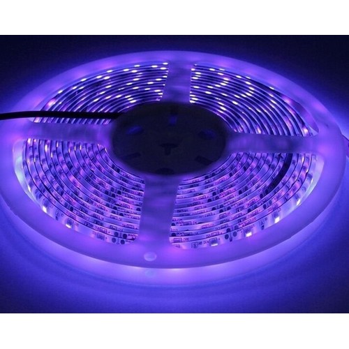UV 400 nm 10W/m 24V LED strip - 5m, IP20, 120 LED pr. meter