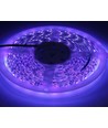 5m 10W/m UV 400 nm LED strip - 24V DC, IP20, 120 LED pr. meter