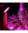 A60 LED plantevækstpære 8W E27 - Fito, 230V