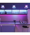 5m 7W/m RGB LED strip sæt - 12V DC, IP20, 60 LED pr. meter