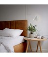 Vægbeslagspotlampe - spænding: 230V, lysstyrke: 380, forbrug: 5W (Back Light) + max 30