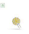 Spectrum LED 1,2W G4 - 12V, varm hvid