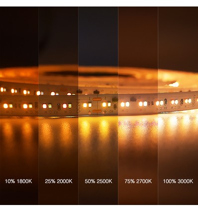 5m 17W/m DimToWarm LED strip RA95 - 24V, IP20, 224 LED pr. meter