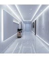 5m 12W/m LED strip, 168 LED/m - 24V, IP20, 6400K, 1650lm/m