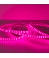 5 m. vandtæt vækst LED strip - Komplet med stik, 230V, IP67, 180 LED, 10W pr. meter