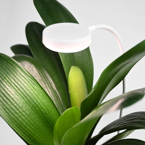 Fleksibel plantelys med spyd - 12W, timer