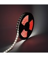 5m 22W/m LED strip Wall washer - 24V DC, IP68, 48 LED pr. meter
