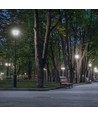 LED PARISIENNE PREMIUM COG 20W E-27 NW MILKY SPECTRUM