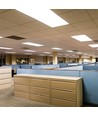 120x30 LED panel, 40W - 120lm/W, CREE chip, 6 års garanti, hvid kant