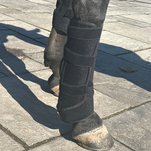 Lysterapi pad til heste - Infrarød og rødt lys, Batteri, Powerbank medfølger