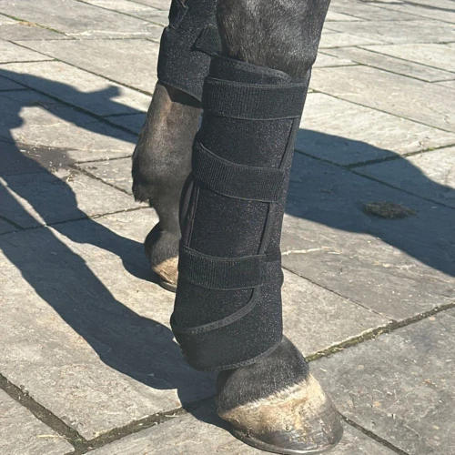 Rødlysterapi bånd til heste - Infrarød og rødt lys, Batteri, Powerbank medfølger