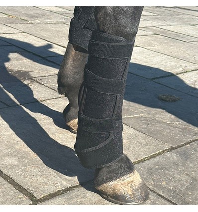 Lysterapi pad til heste - Infrarød og rødt lys, Batteri, Powerbank medfølger